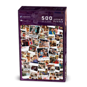 500 Friends Polaroids